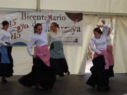 Bicentenario 2011