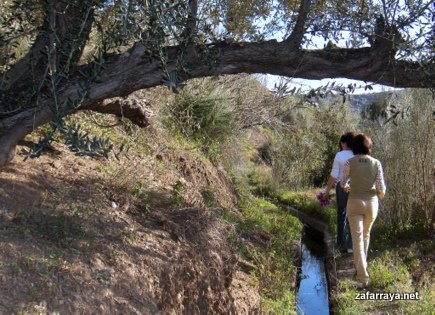 Paseo por La Axarquia