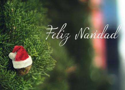 Navidad 2015